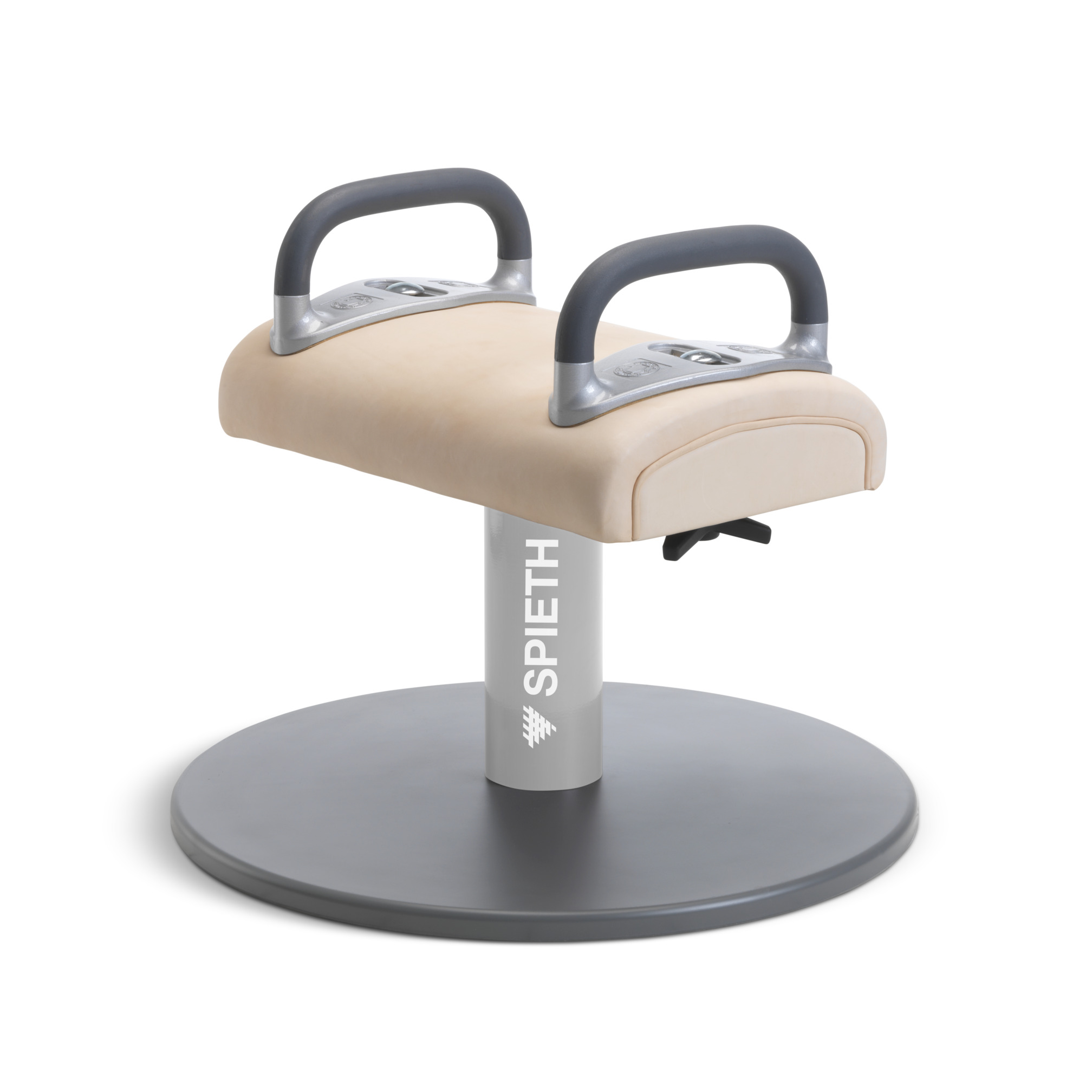Pommel Training Aid