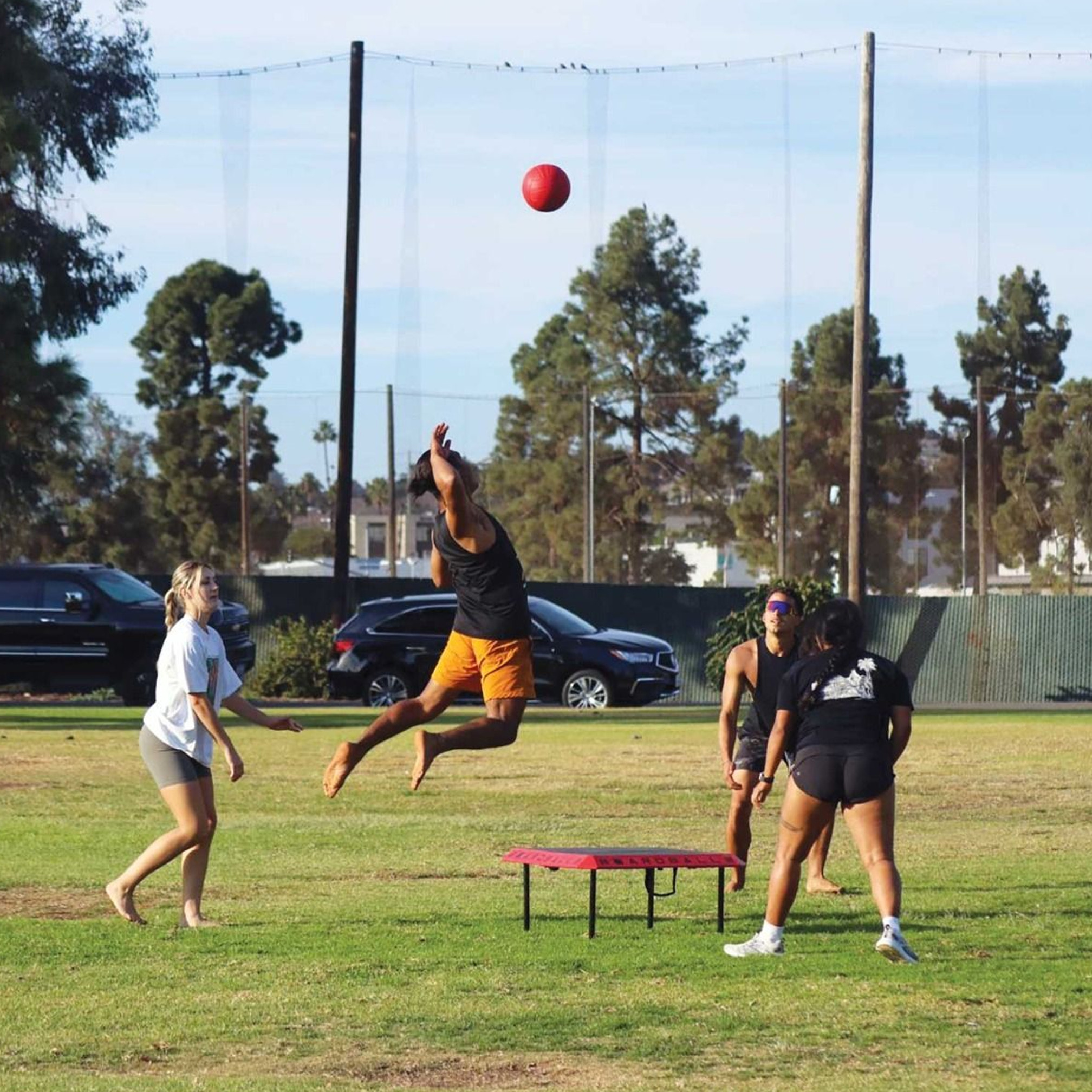 Boardball set