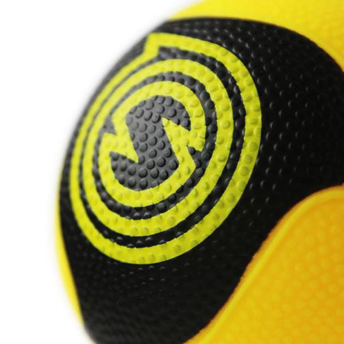 Spikeball Pro Balls – 2 pack